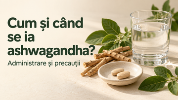 Cum se ia ashwagandha și când: dimineața sau seara?