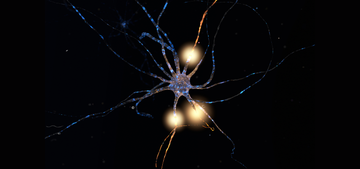 The Role of Micronutrients in Energy Production