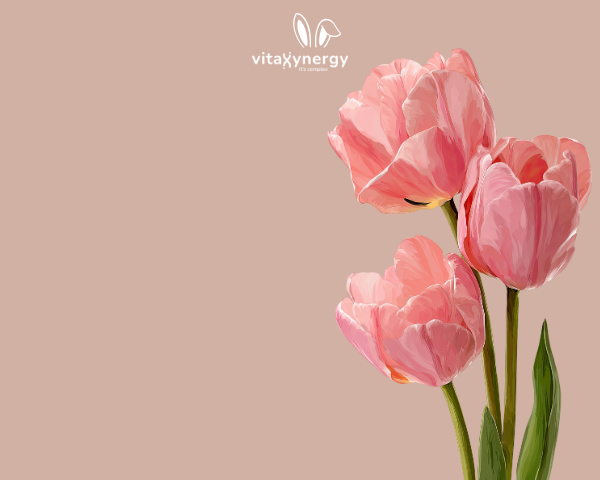 slider image slider_item_jXceRp